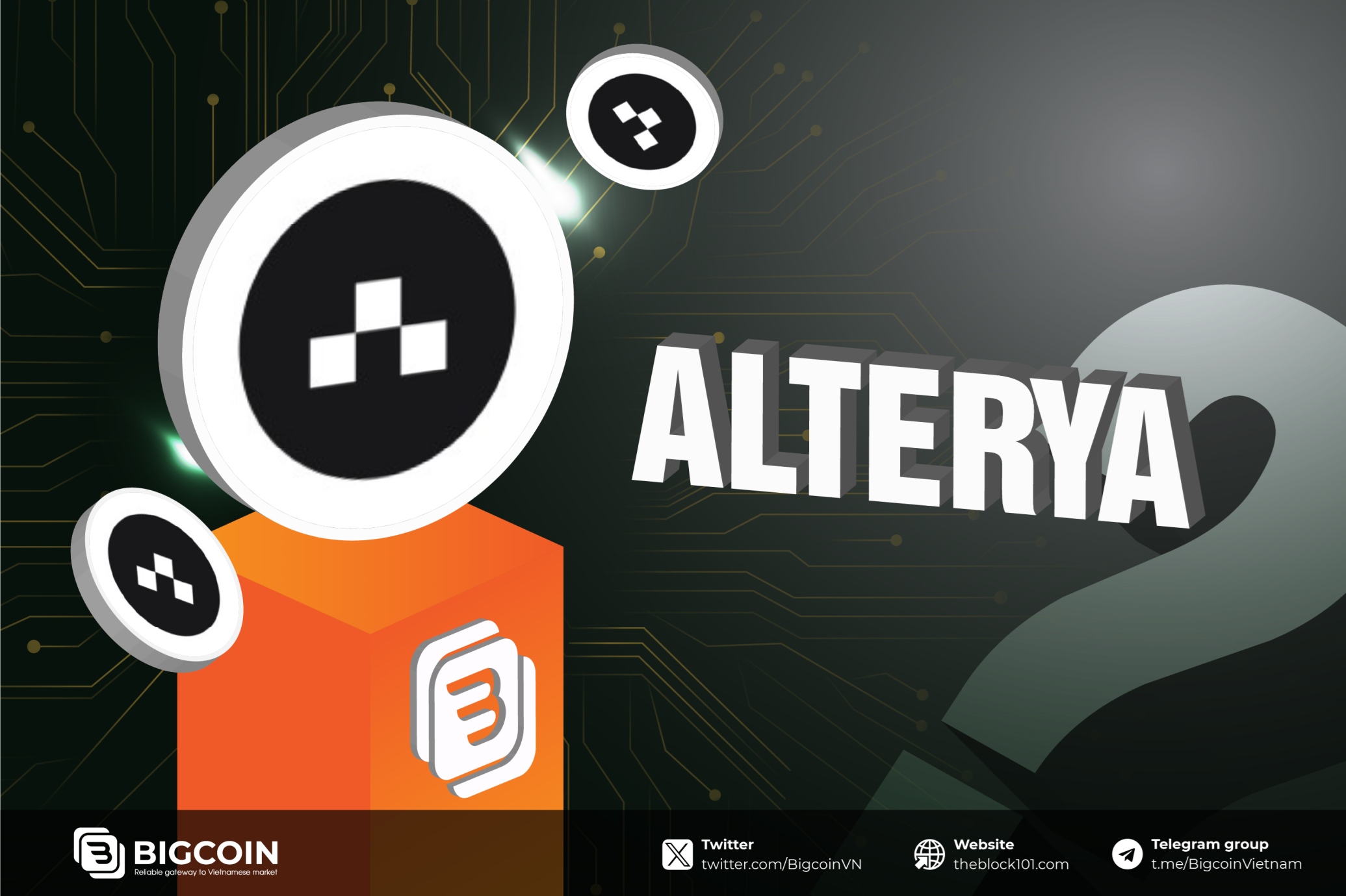 Alterya là gì?