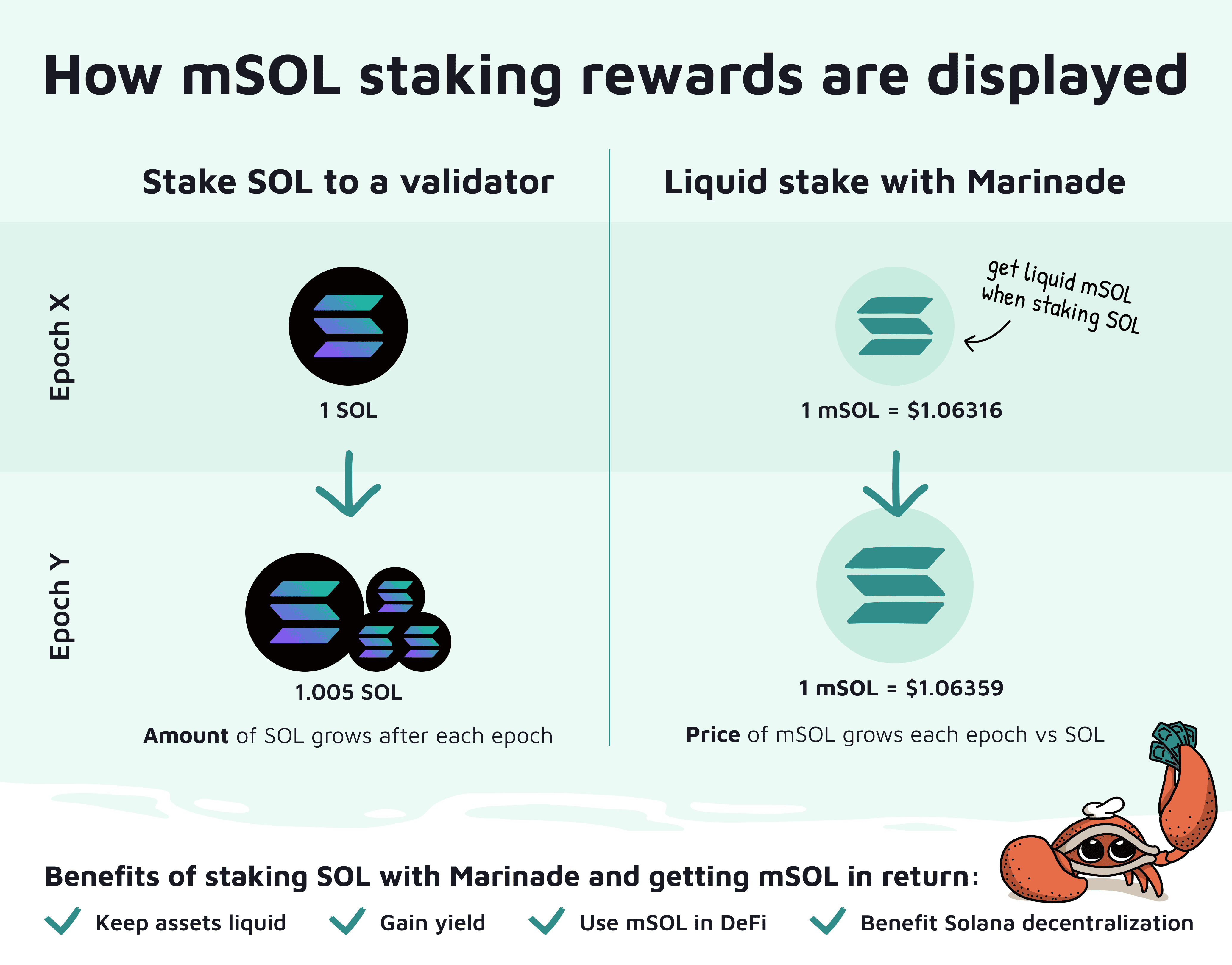 Phần thưởng mSOL staking được hiển thị như thế nào