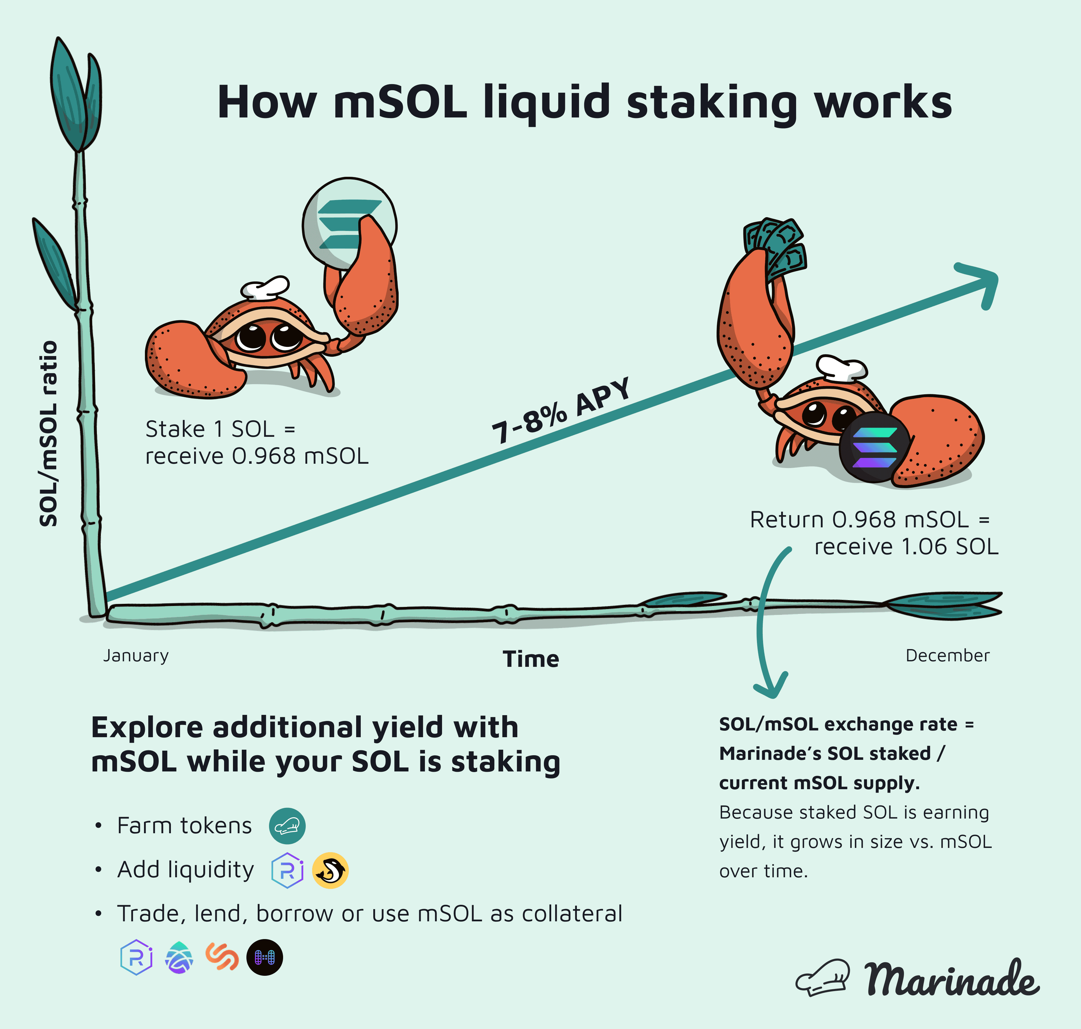 mSOL liquid staking hoạt động như thế nào?
