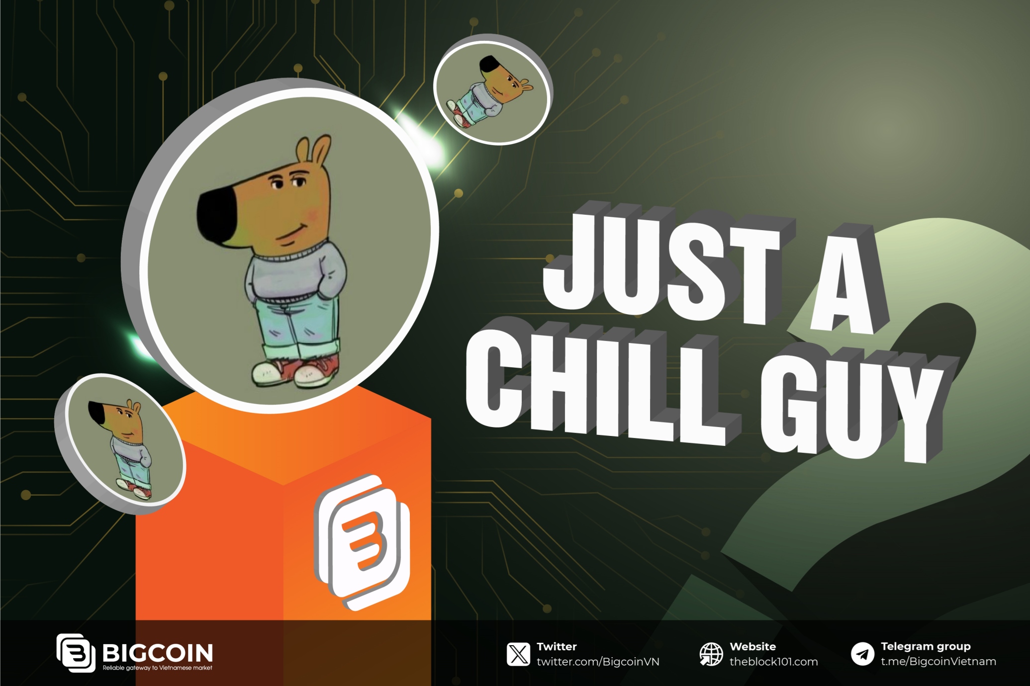 Chill Guy là gì