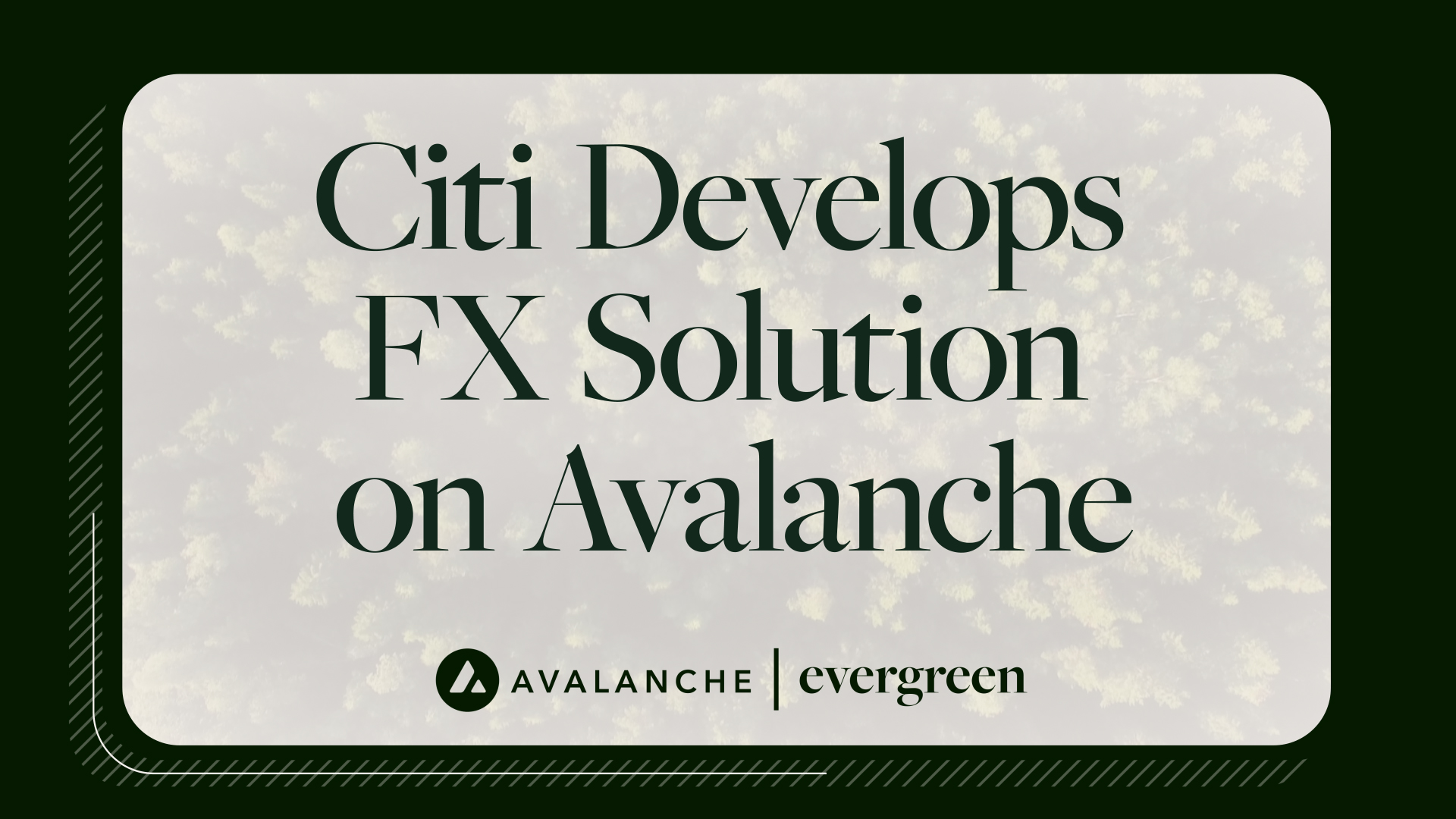 Citi triển khai FX Solution tr&ecirc;n Avalanche