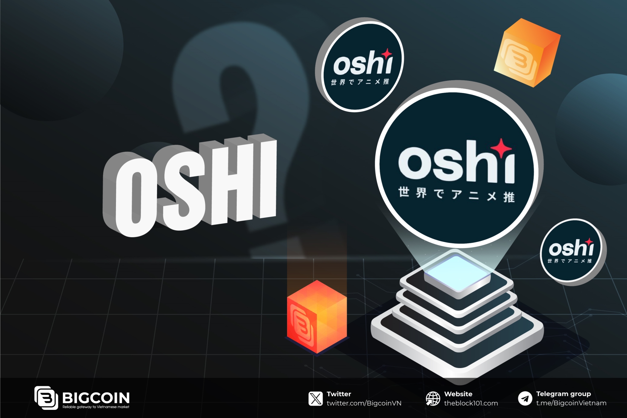 Oshi là gì
