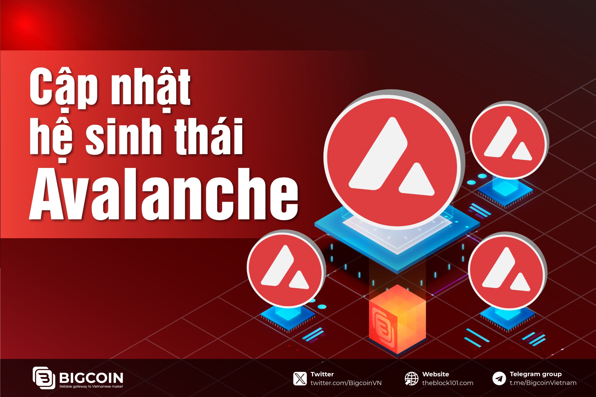 Cập nhật hệ sinh th&aacute;i Avalanche