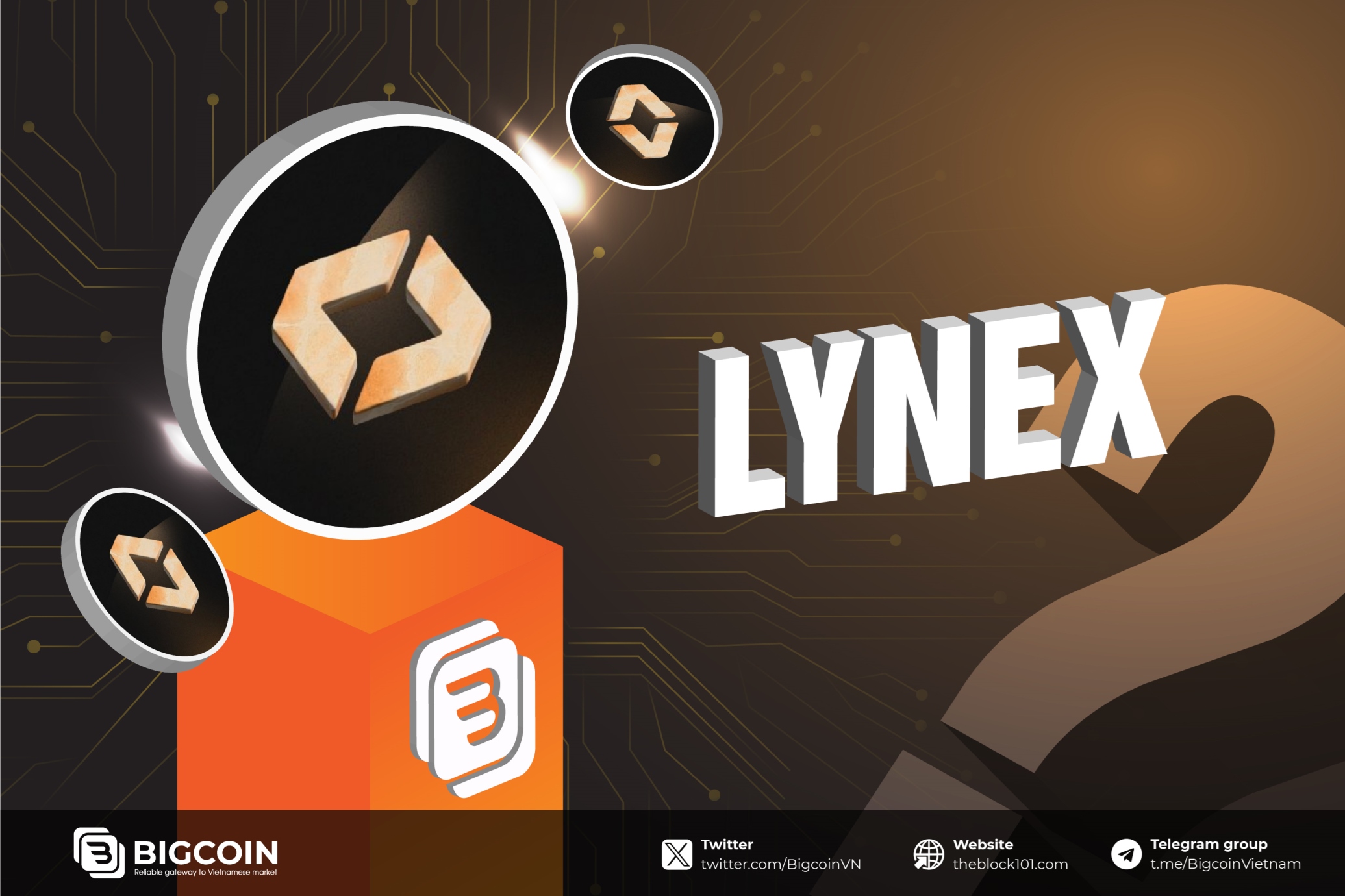 Lynex là gì? Tổng quan về sàn DEX top 1 TVL trên Linea