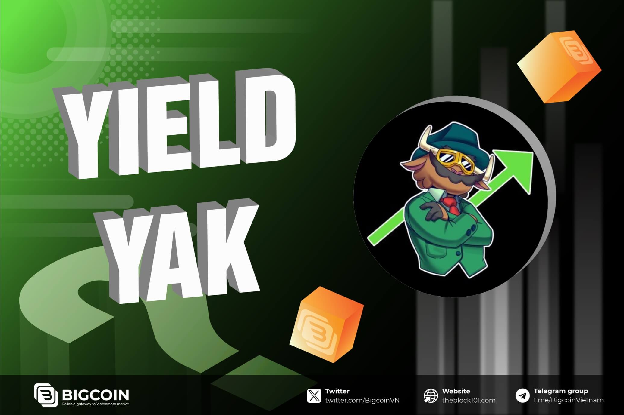 Yield Yak là gì? Tổng quan về Yield Aggregator trên Avalanche