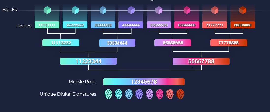 Merkle Tree hoạt động như thế nào?