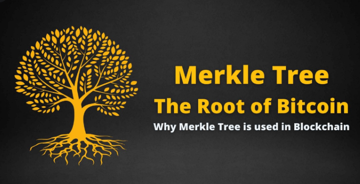 Tại sao Merkle Tree được sử dụng trong Bitcoin?