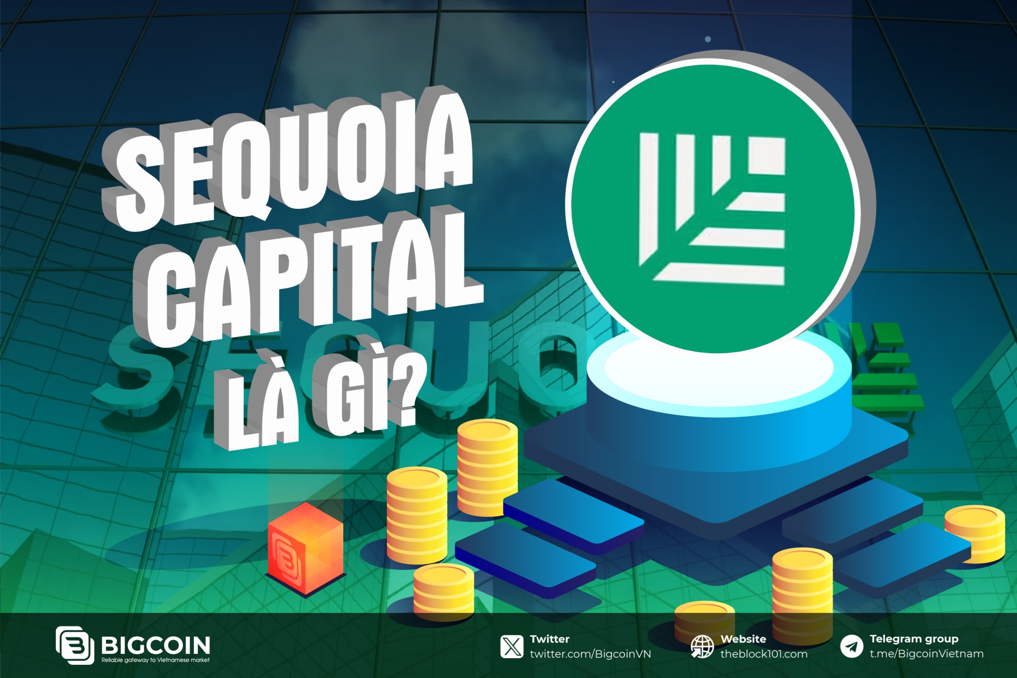 Sequoia Capital là gì? Quỹ đầu tư crypto đứng sau các kỳ lân công nghệ tỷ đô