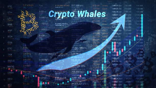 How Does a Crypto Whale Tracker App Work?