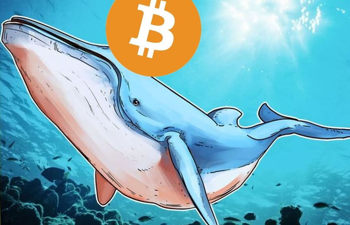 Why You Should Track Crypto Whales