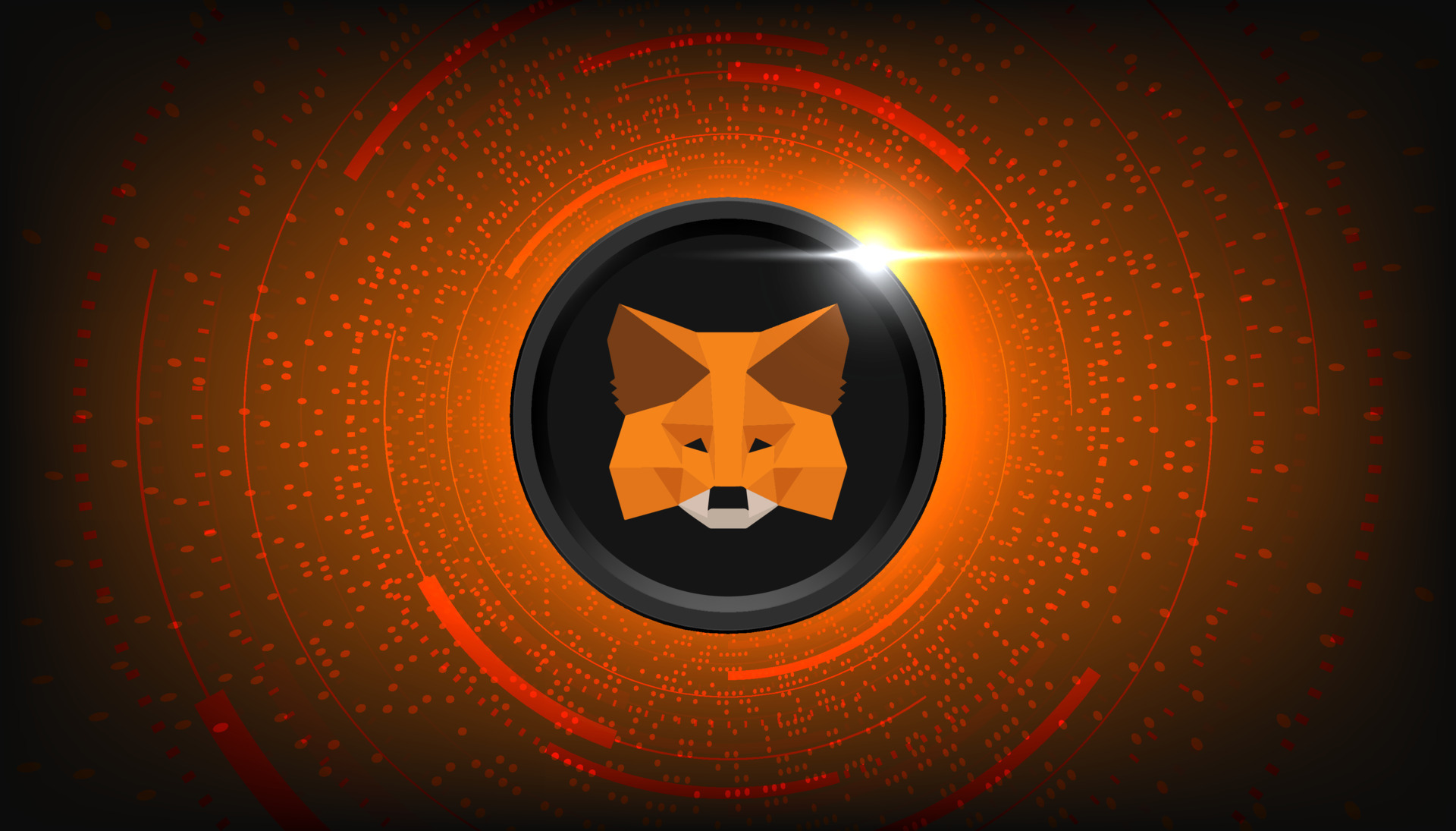 MetaMask hiện l&agrave; v&iacute; Web3 phổ biến h&agrave;ng đầu