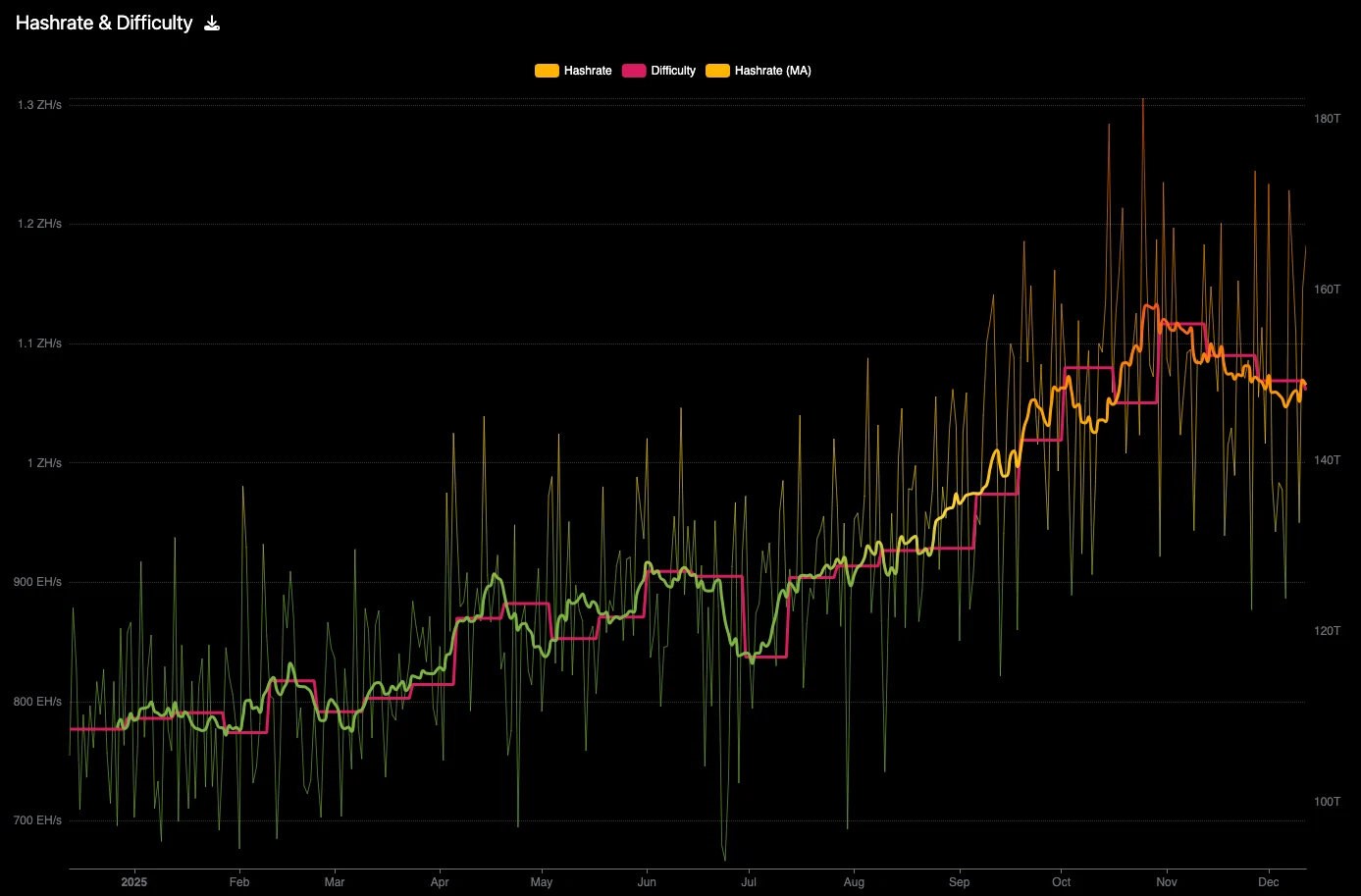 Bitcoin network hashrate. Nguồn: Mempool