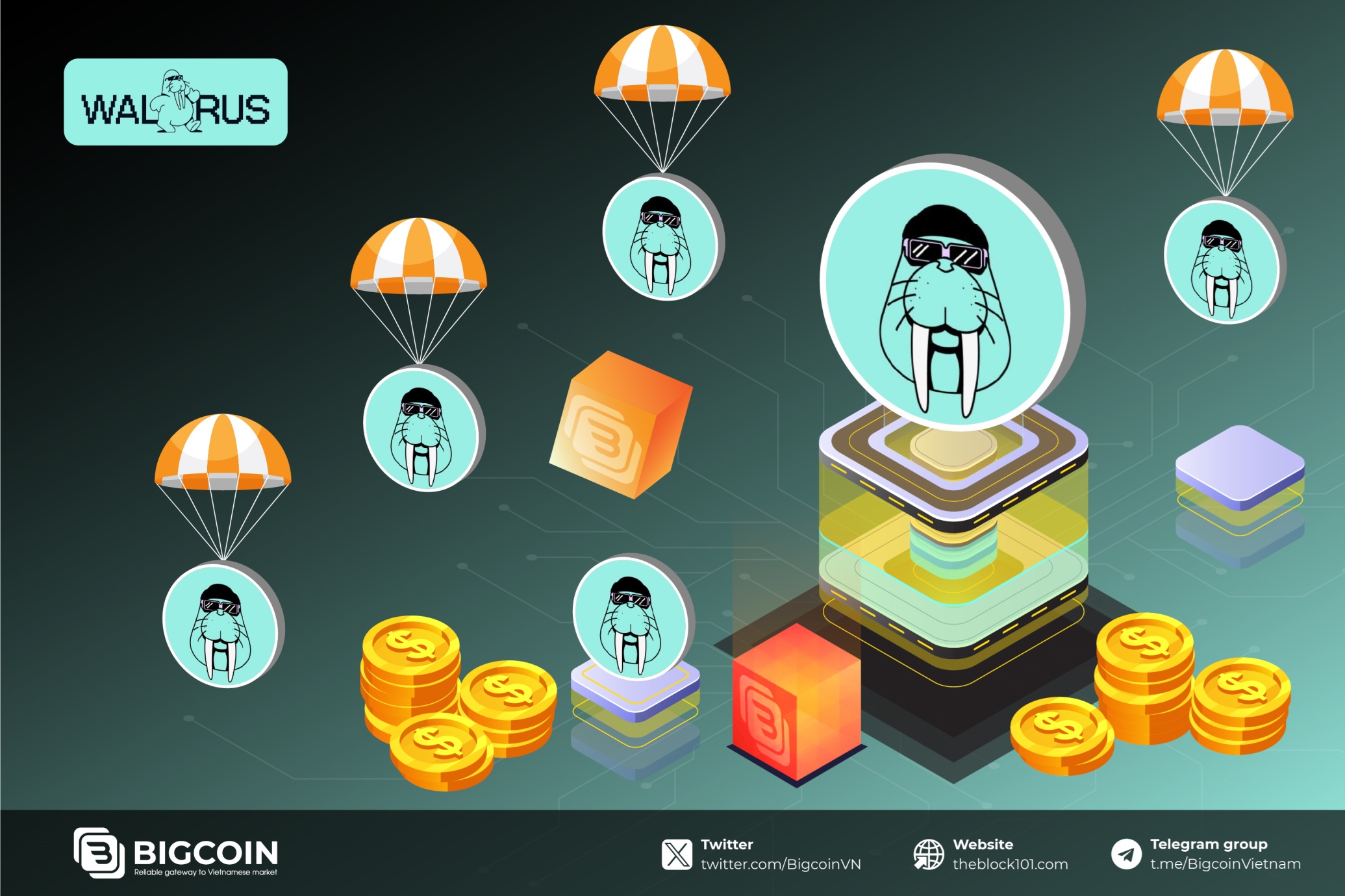 Walrus là gì? Cách làm airdrop nền tảng lưu trữ hệ Sui