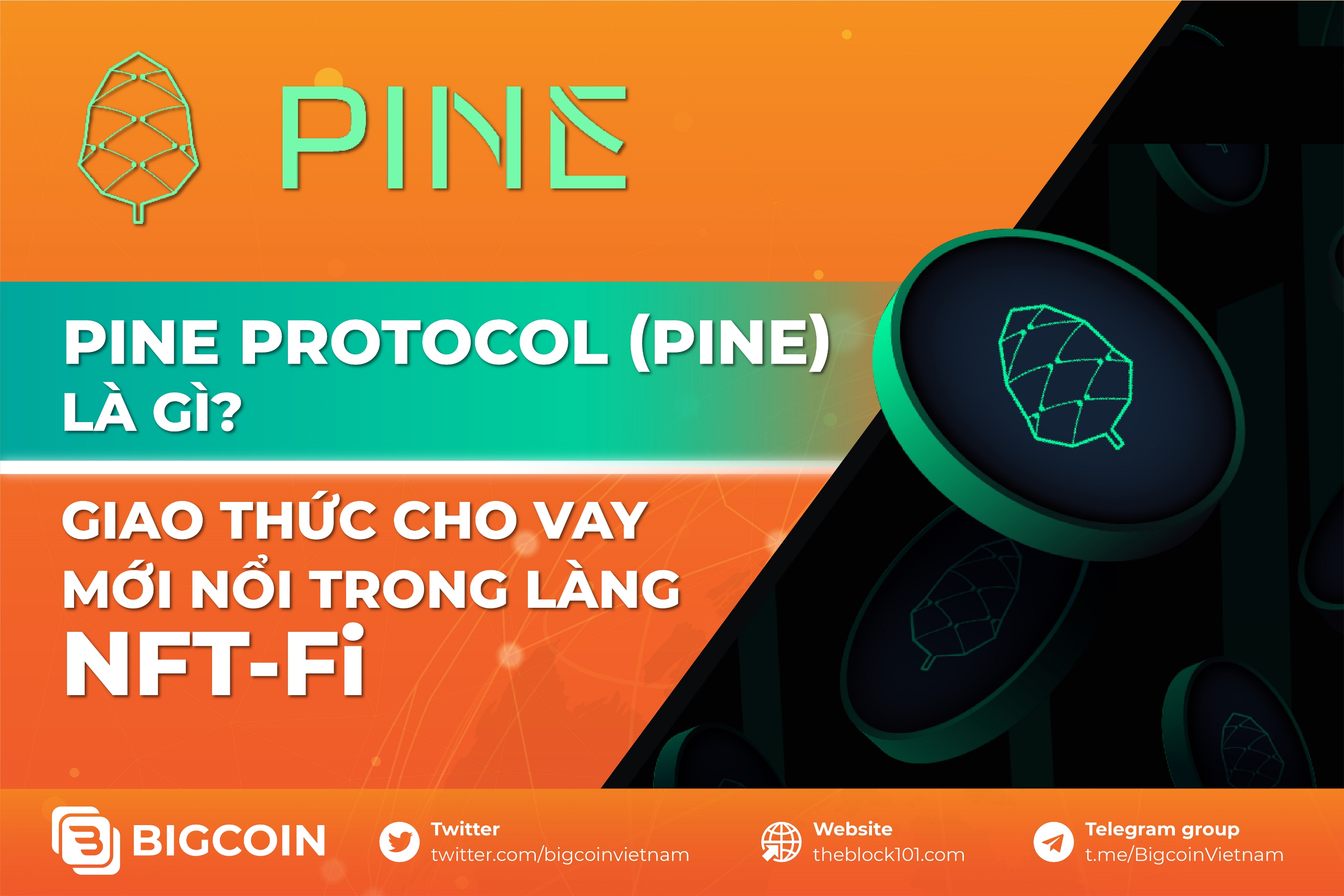 Pine Protocol là gì?
