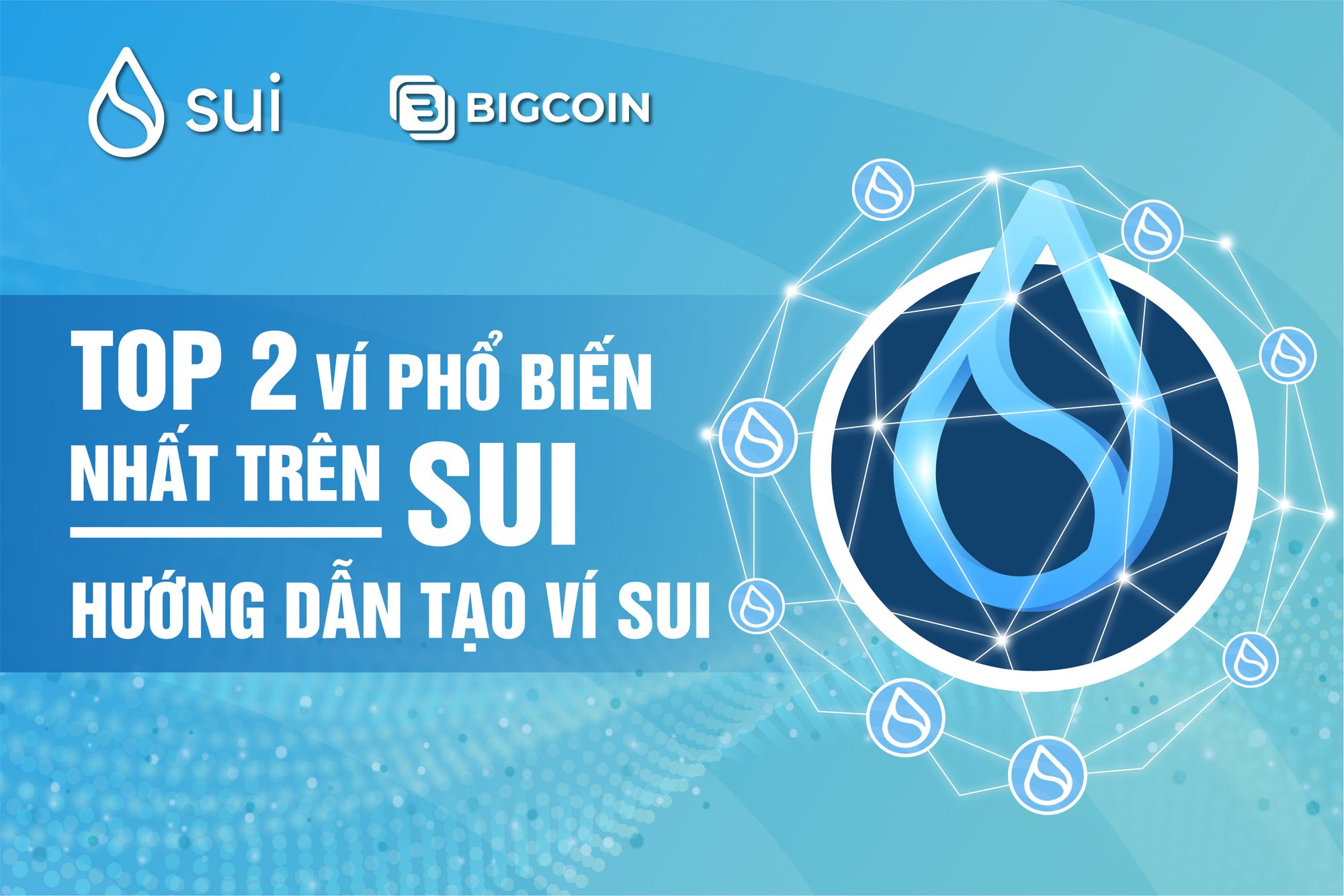 Top 2 Ví Phổ Biến Trên Sui Và Cách Tạo Ví Sui
