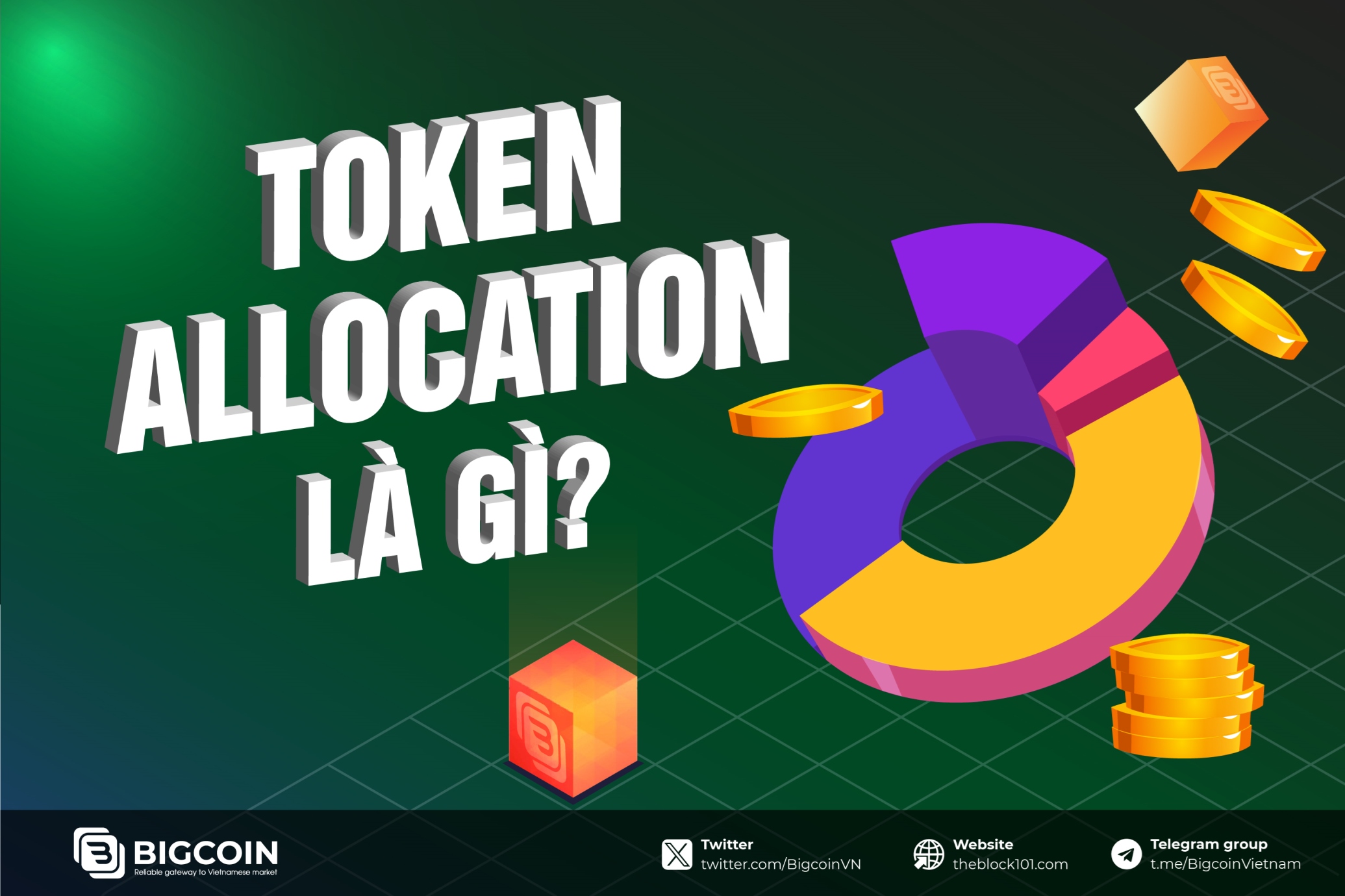 What is Token Allocation?  Exploring token distribution in Blockchain projects