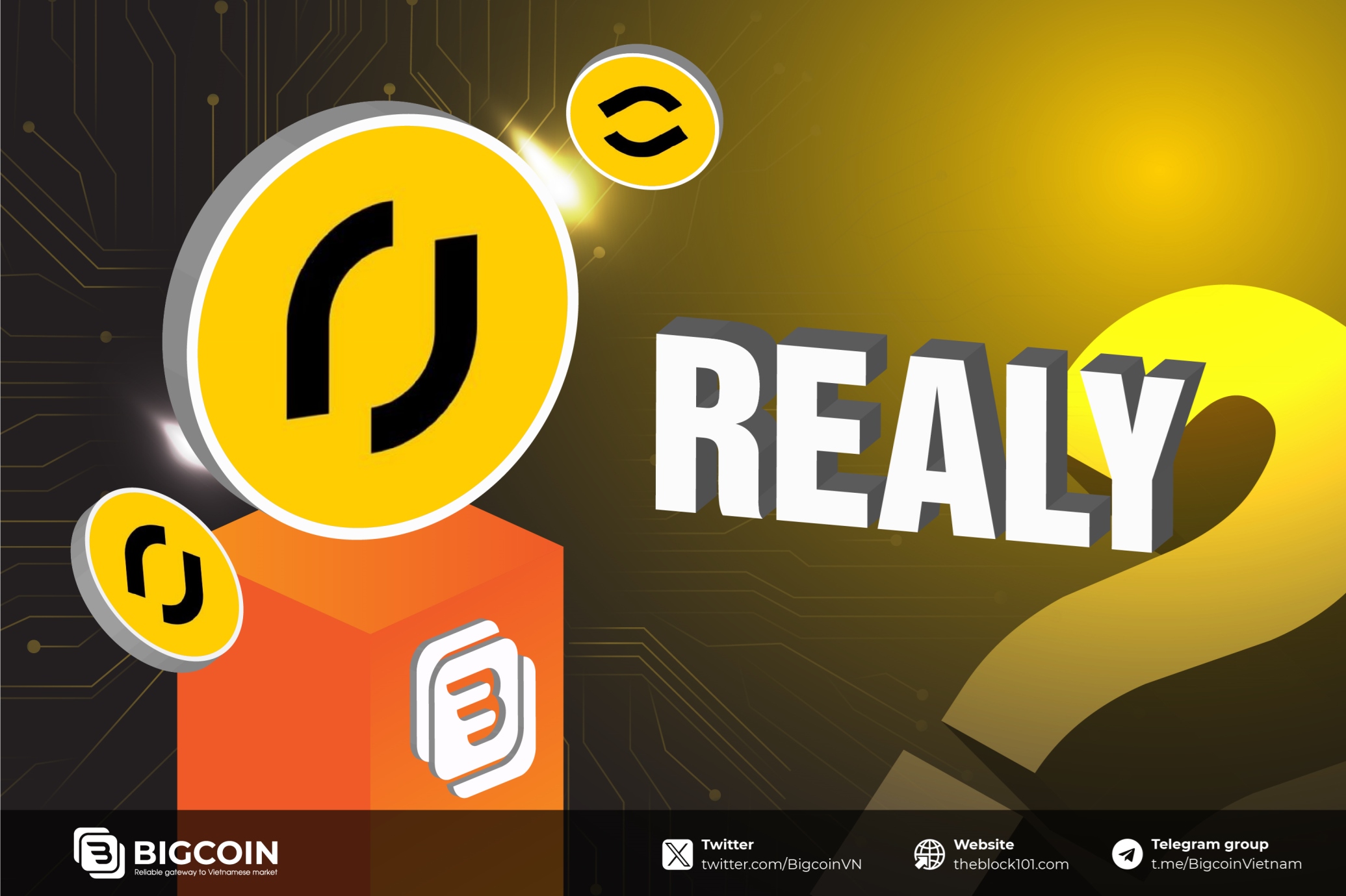 Realy là gì? Khám phá nền tảng Metaverse Live-to-Earn đầu tiên trên Solana