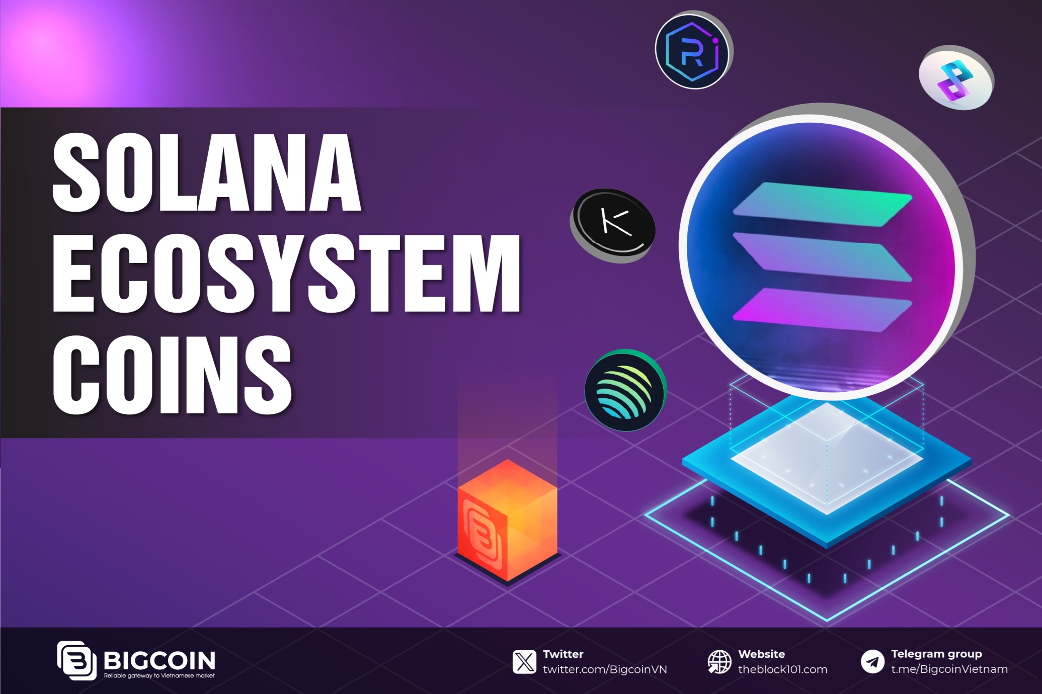 What are Solana Ecosystem Coins? Discover the key tokens powering Solana Blockchain