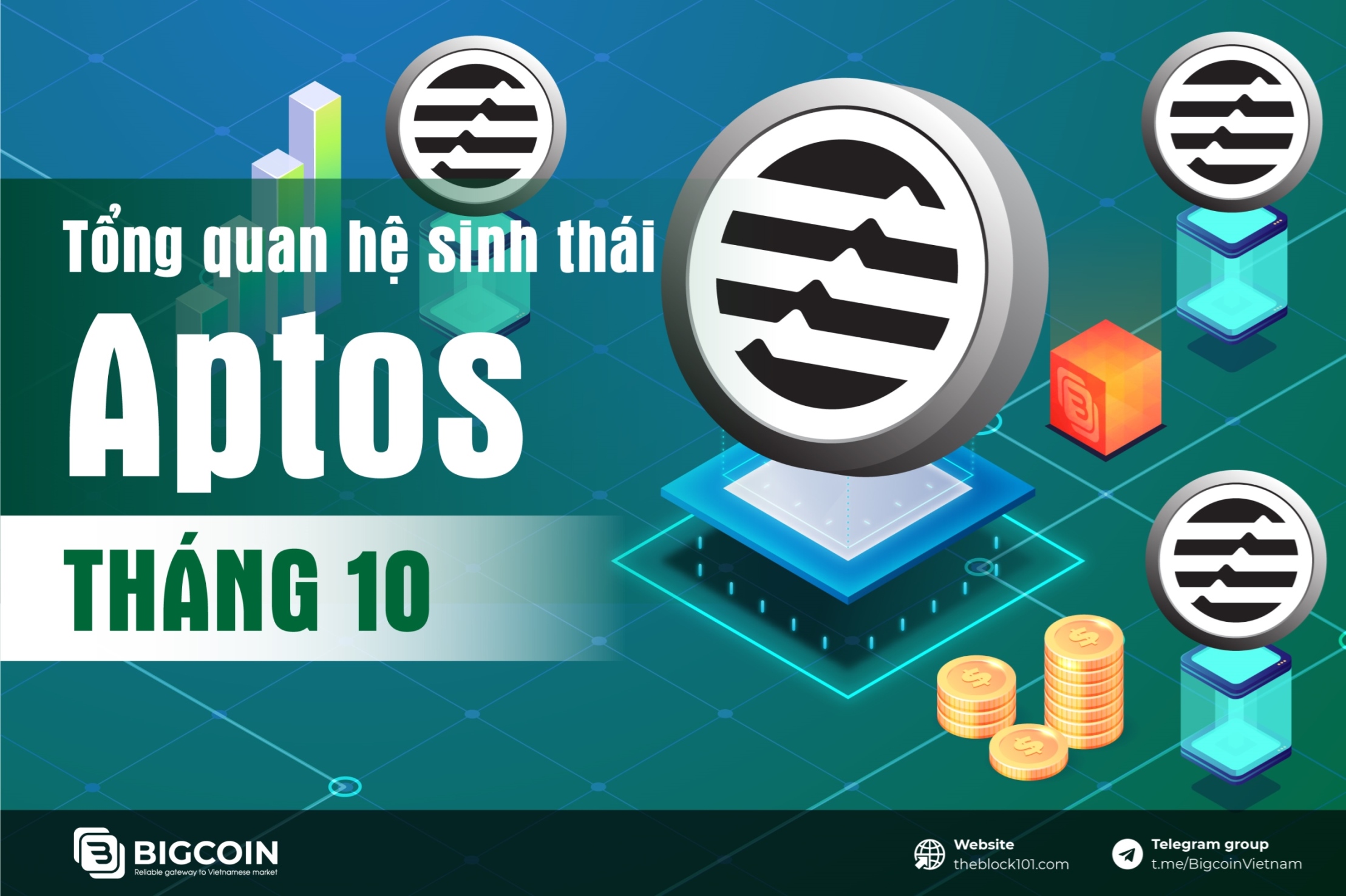 Hệ sinh th&aacute;i Aptos trong th&aacute;ng 10