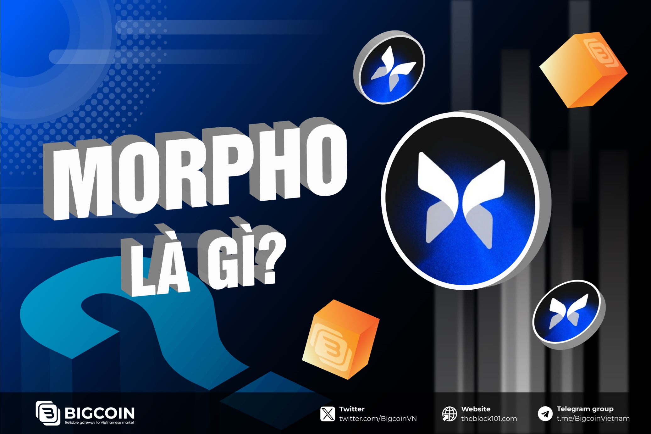 Morpho l&agrave; g&igrave;?
