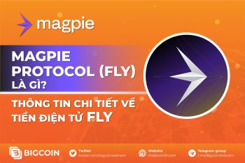 Magpie Protocol (FLY) là gì? Thông tin chi tiết về tiền điện tử FLY