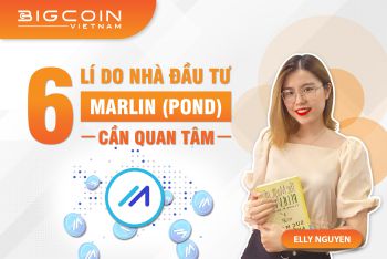 6 điều cần biết về dự án Marlin (POND)