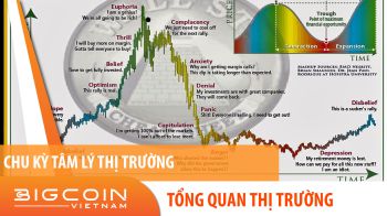 Chu kỳ tâm lý thị trường tiền điện tử