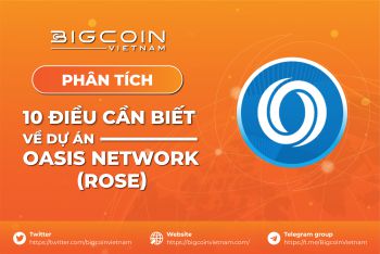 Oasis Network là gì? 10 điều cần biết về dự án Oasis Network (ROSE)