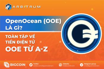 OpenOcean (OOE) là gì ? Toàn tập về tiền điện tử OOE từ A-Z