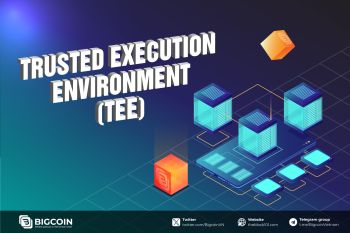 Trusted Execution Environment (TEE) là gì? Liệu TEE và Web3 có tạo nên sự bùng nổ trên thị trường?