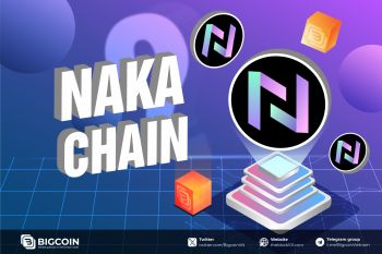Naka chain là gì? Blockchain Bitcoin layer 2 cho DeFi