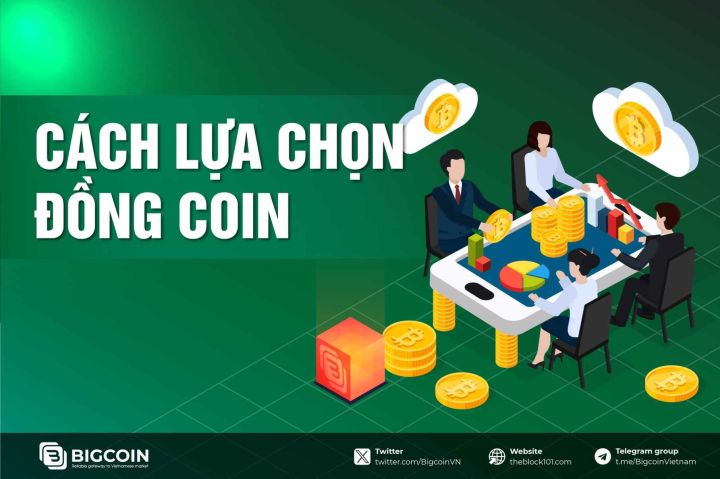 7 criteria for selecting potential coins for new investors