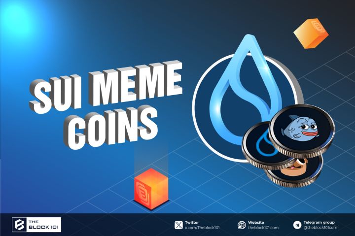 Top 5 Sui Meme Coins to Watch by Market Cap in 2025