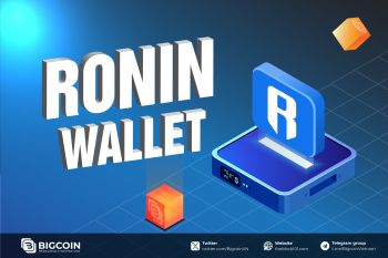 Ronin Wallet là gì? Hướng dẫn cách sử dụng ví Ronin dễ nhất 2024