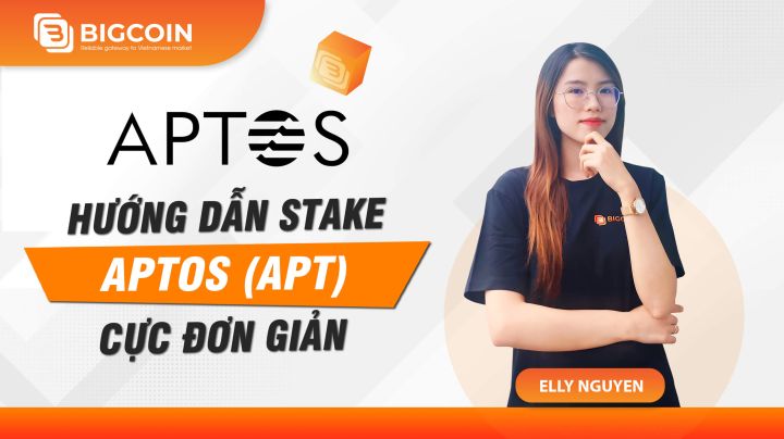 Comprehensive guide to staking Aptos ($APT) on Potem wallet