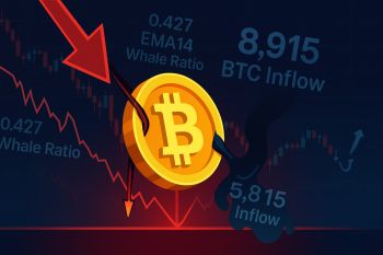 Áp lực bán tăng mạnh: Dữ liệu Binance cho thấy BTC có thể điều chỉnh sâu