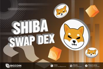 ShibaSwap là gì? Tổng quan sàn DEX số 1 trên Shiba Inu