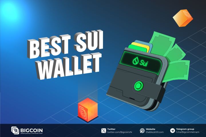 Best Sui Wallets in 2025: Security, Utility and Top Performance