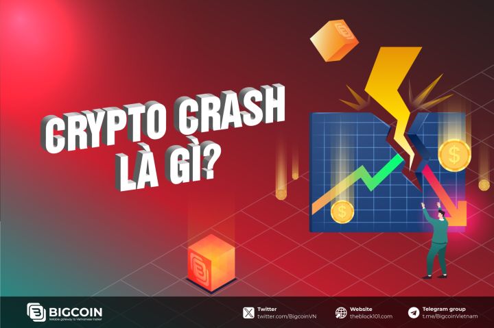 Crypto Crash là gì? Tìm hiểu nguyên nhân và phòng tránh Crypto Crash