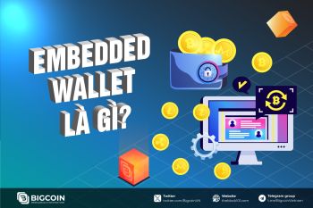 Embedded Wallet là gì? Đánh giá ưu nhược điểm của ví nhúng trong Crypto