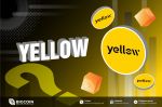 Yellow Network là gì? Giải pháp Layer 3 giúp tối ưu hoá giao dịch huy động hơn 10 triệu USD