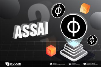 Assai (ASSAI) là gì? Tổng quan dự án giao dịch AI trên Solana