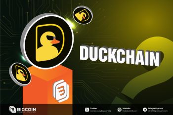 DuckChain là gì? Giải pháp kết nối TON với Web2 và Web3 kêu gọi $5M