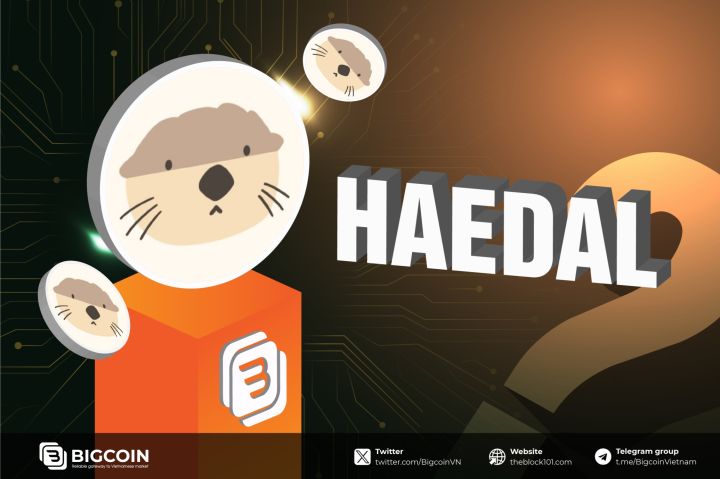 Haedal Protocol là gì? Tổng quan dự án Liquid Staking trên Sui