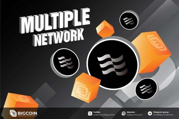 Multiple Network là gì? Hướng dẫn tham gia Testnet săn airdrop
