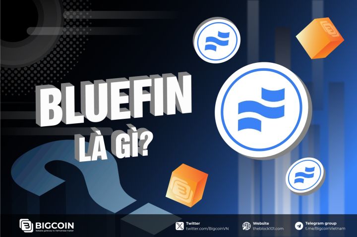 Bluefin (BLUE) là gì? Cập nhật mới nhất về Bluefin hệ Sui trong năm 2025