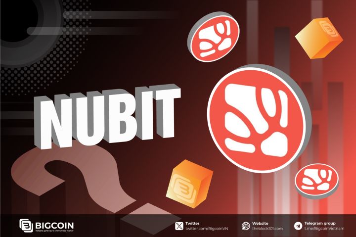 What is Nubit? Layer 2 Bitcoin raised $12 million and guided participation in Alpha Testnet