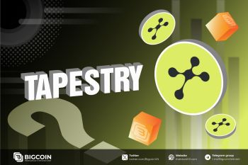 Tapestry là gì? Giao thức đồ thị xã hội trên Solana kêu gọi $5.7M