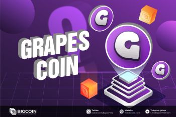 Grape Protocol là gì? Tất tần tật về Grape Coin