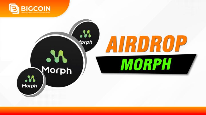 Hướng dẫn săn airdrop với Morph - Layer 2 kệu gọi được $20M từ Pantera, Dragonfly Capital